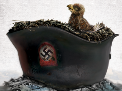 Rise and Fall of the Third Reich Book Cover Concept bird book cover digital eagle helmet illustration nazi nest painting reich rocks third war