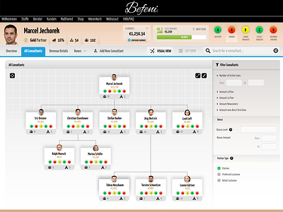 Befeni Consultant Dashboard - Network Visualization