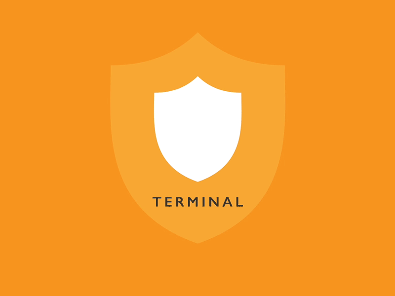 Terminal Shield africa animation design ecommerce gif illustration lagos logo nigeria terminal africa udi okoh webdesigner