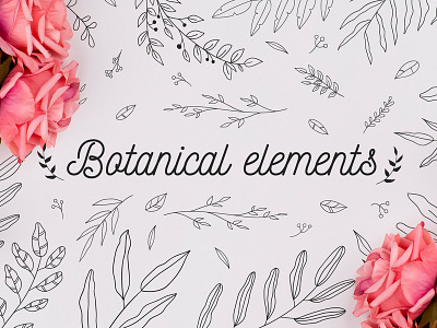Botanical elements branding color colors design flat icon illustration leaf leaves logo plant ui vector vector art vector illustration