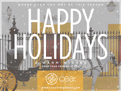 CEA Happy Holidays gif happy holidays holidays seasons greetings snow