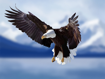 Eagle - Digital Painting bird digital painting eagle illustration painting photoshop