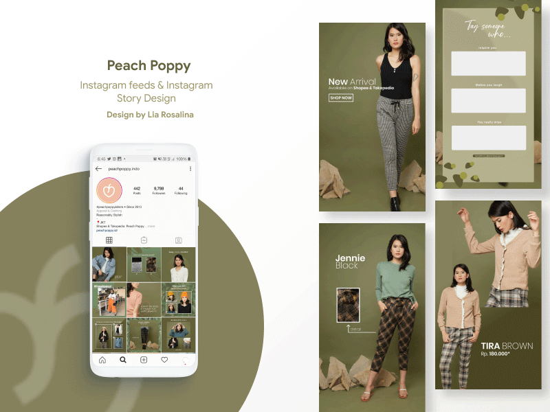 Template Instagram feeds and Instagram story for Peach Poppy