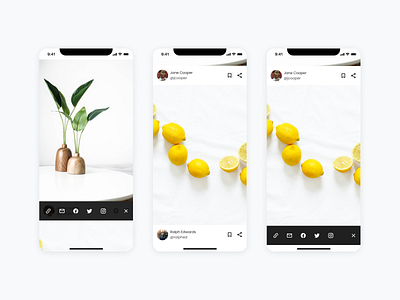 Daily UI #010 Social Share 010 dailyui share share photos social media social share ui ux