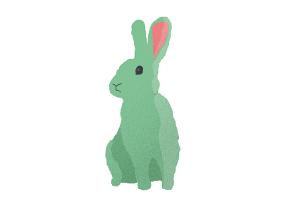 Bunny Rabbit bunny digitaldrawing illuatration illustrator rabbit sketch