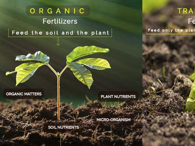 Organic agriculture banner ad banner ads design farmer graphic design