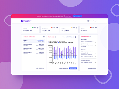 Fintech Dashboard Design | SteadiPay