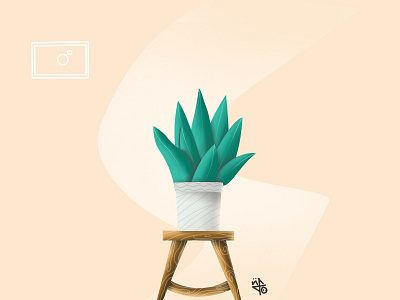 plant illustration cute illustration illustration illustrator photoshop plant plant illustration pot procreate