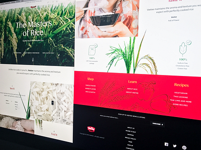 Rice supplier site full width grid layout landing page minimal plant products typography ui ux web website