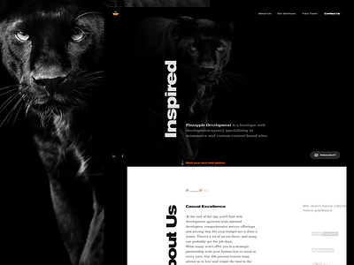 Dev agency site agency black bw clean dark design development ecommerce modern responsive typography web