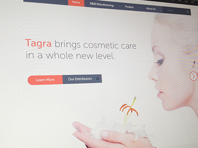 Tagra clean design detailed graphic design minimalistic typography ui ux web website