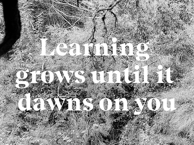 Learning Grows feldenkrais quotes typography words