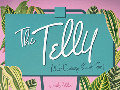 Telly - Mid-Century Script Font branding design display font font script typography