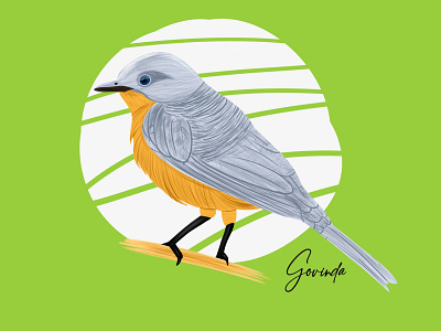 Bird 🐦 atrective bird branding design flat illustration india minimal print tshirt vector