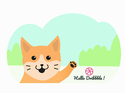 Hello Dribbble ! cat design flat illustration u ui ui ux ux vector web