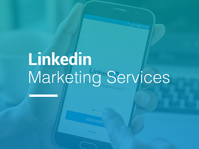 Linkedin Marketing Services Web Page Graphics branding design illustration linkedin marketing agency marketing web