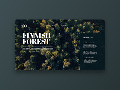 🌲Finnish Forest Experience finland forest landing page national park nature scandinavia trees