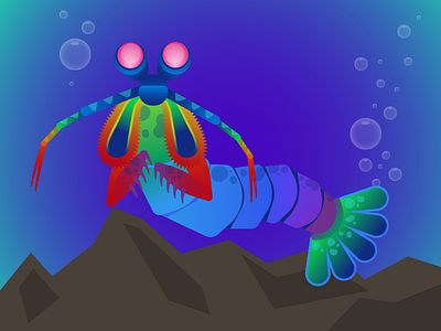 30 Minute Challenge - Sea Creature animal blue cartoon gradient rainbow shrimp vector