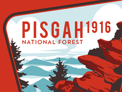 Pisgah National Forest carolina forest illustration mountains national nature north outdoors park pisgah rocks state