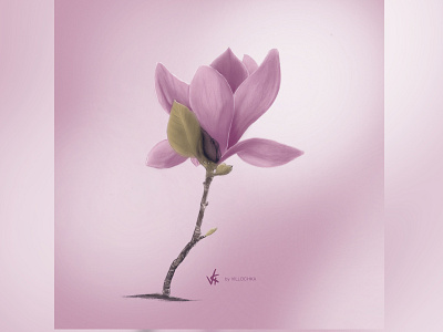 Magnolia art drawing illustration ipadpro