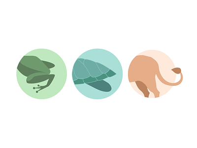 Animal icons animal icon animals butts didisigner frog illustration lion turtle