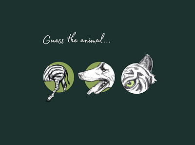 animals animals didisigner dog illustration tiger zebra