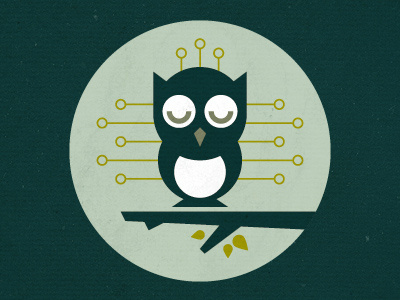 Owl animal illustration