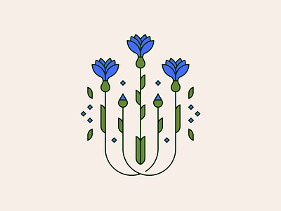 cornflower cornflower flower flower illustration illustration