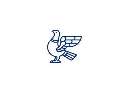 Pigeon. illustration