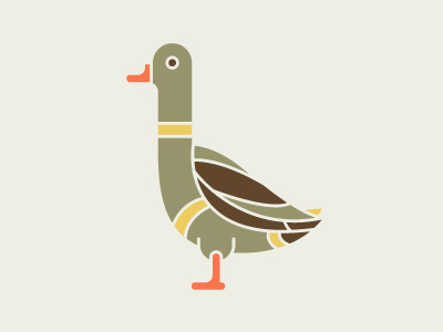 Duck. illustration