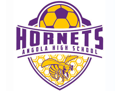 Angola Hornets design logo vector