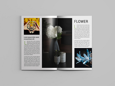 Unlisted plant Magazine flowers magazine design