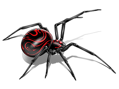Spider art black widow draw spider tattoo