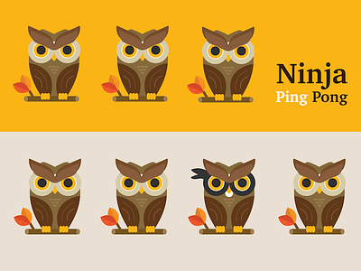 Ninja Ping Pong Book Cover
