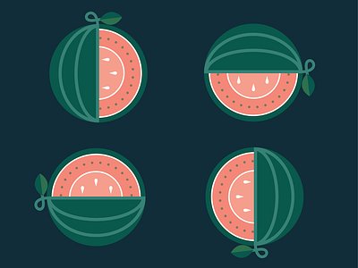 A Field Guide to Flexbox Watermelons book css flexbox fruit watermelon