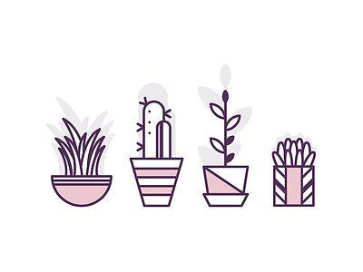 Basic Plants cactus houseplants icons plant planters plants pots succulent