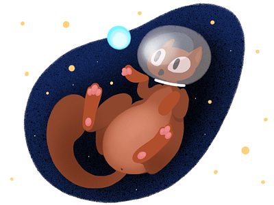 Cat in space