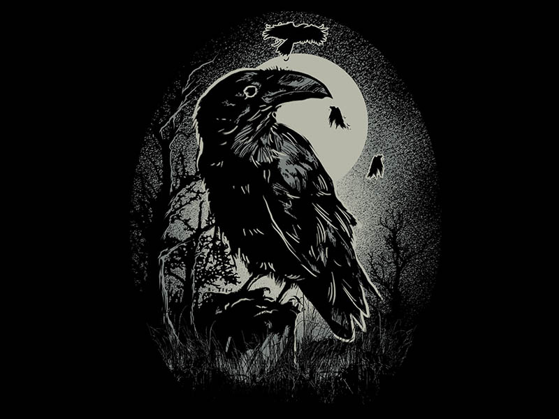 the crow by fluffyartstudio on Dribbble