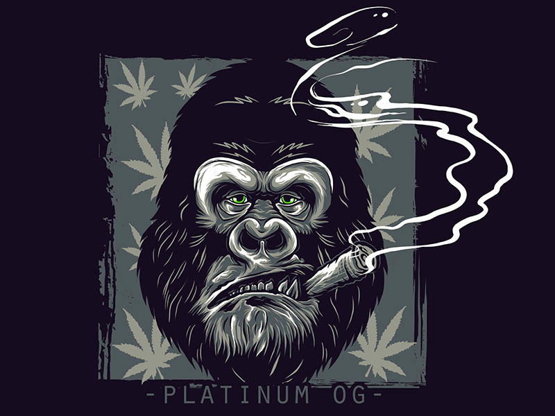 smoking weed by fluffyartstudio on Dribbble