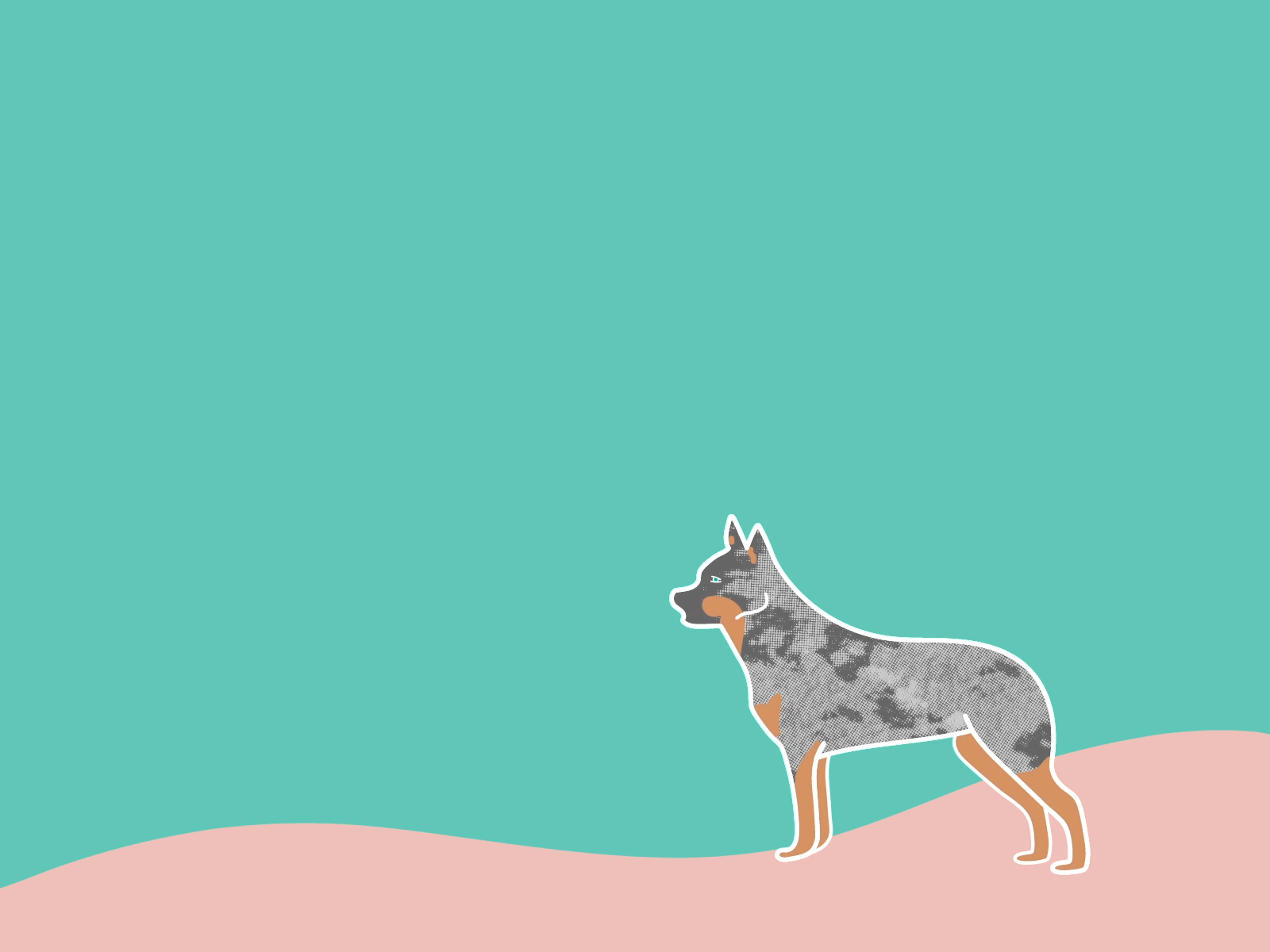 Weekly Warm-Up #22: Pet GIF after effects animated animated gif animation australian cattle dog blue heeler dog dog illustration dogs dribbbleweeklywarmup illustration illustrator minimal pet vector visual art visual design wag weekly warm up woof