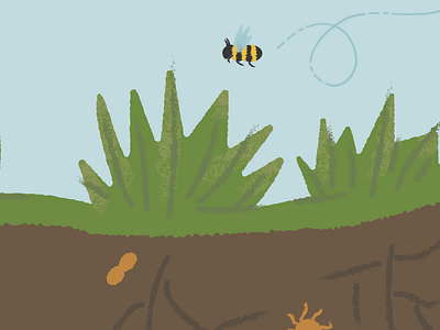 Soil Health WIP bacteria bees biodiversity earth grass grasslands illustration nature plants roots soil soil diversity sustainability texture underground vector