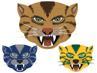 Wildcats adobe illustrator character design illustration logos wildcats wildlife