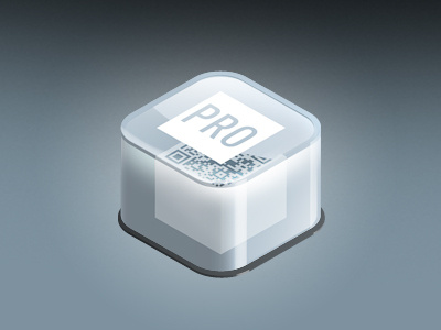 Professional Package Icon