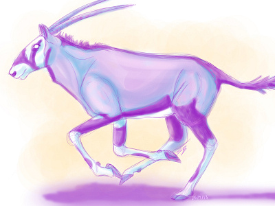 Gemsbok antelope daily sketch digital gemsbok oryx practice sketch south africa