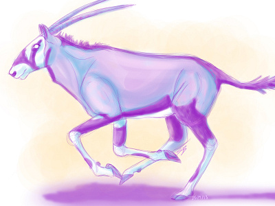 Gemsbok