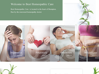 Homeopathy centre - Website design illustration ui ux