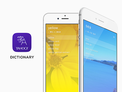 Dictionary app concept