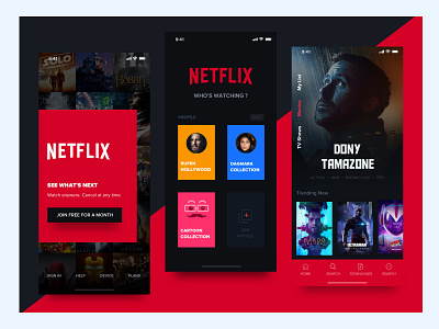 Netflix Design Concept app appdesign brand and identity branding concept design design dribbble flat design illustrator interaction design interactive netflix rupendesign typography ui uidesign uitrends userexperience userinterface ux