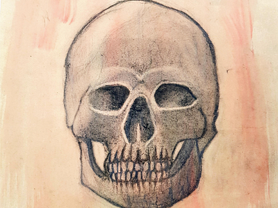 Charcoal Skull james dine skull drawing