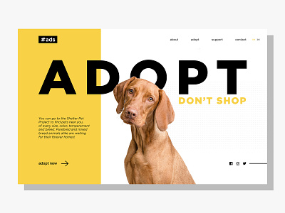 Landing Page | Adopt Don't Shop figma landing page typography ui8 user interface